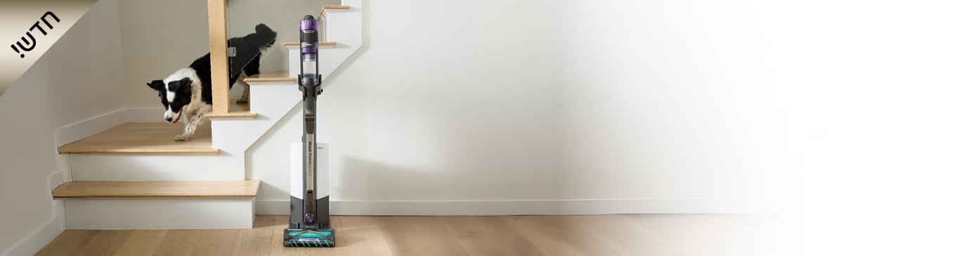 HP303 banner