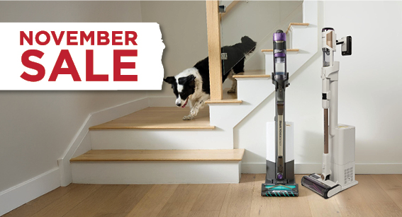 מבצעי נובמבר